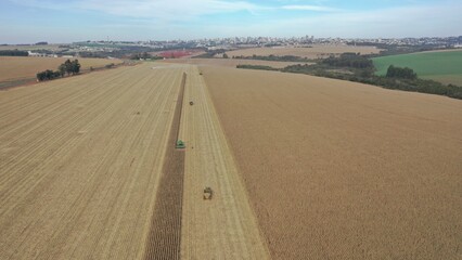 Obraz premium Colheita