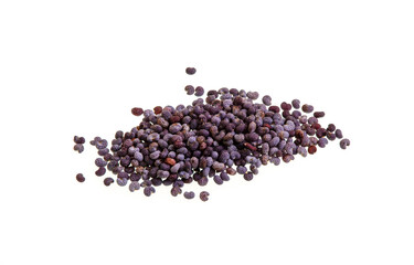 Poppy Seeds Isolated on White