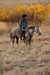 Wyoming Cowgirl in the Fall