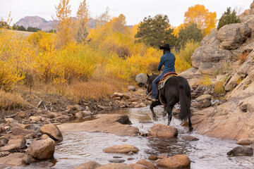 Wyoming Cowgirl on a black horse