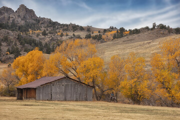 Fall in Wyoming