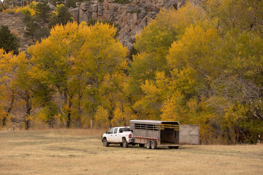 Truck Pulling Horse Trailer in the Fall