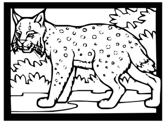 Sketch of a cheetah on a black and white background in a frame for comics or coloring.