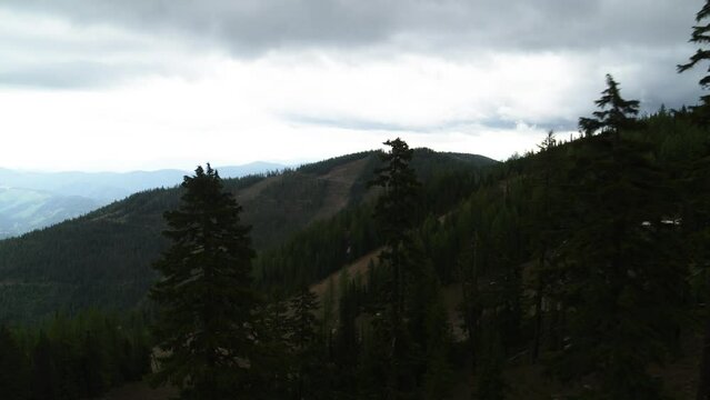 Aerial of Idaho ski resort in summer with dramatic skies revealing from pine tree