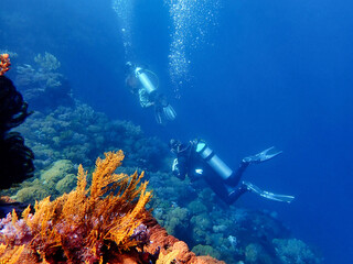 Fototapeta na wymiar Indonesia Sumbawa - Scuba Diving