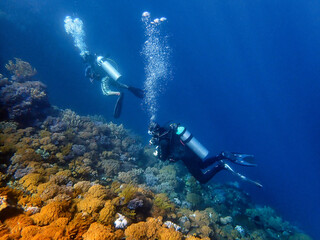 Naklejka na ściany i meble Indonesia Sumbawa - Scuba Diving