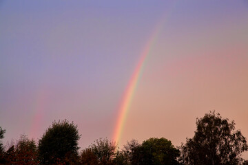 Rainbow at sunset and trees