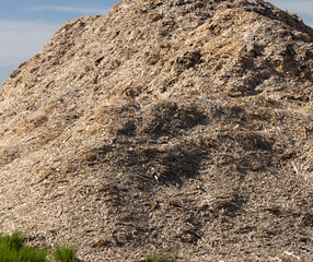 A large pile of sawdust from wood after wood processing