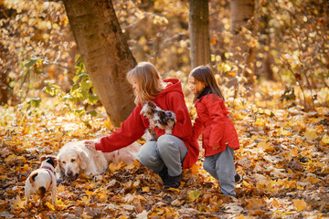 Fototapeta premium Mother and daughter playing in autumn forest with dogs