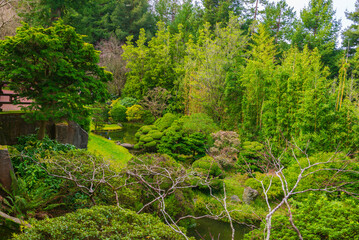 Japanese Tea Garden San Francisco, California, EUA