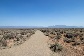 A trail leading to the Rio Grande Gorge