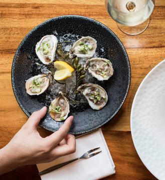Oysters on the half shell at a restaurant