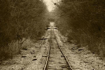 Fototapeta premium vintage sepia photograph forest danger damaged rural train tracks transportation railway countryside transport rails abandoned