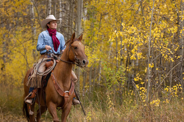 Cowgirl riding in Aspens and Cottonwoods - obrazy, fototapety, plakaty