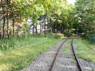 リリートレイン(札幌、北区、百合が原公園)