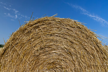 twisted straw stacks after harvest