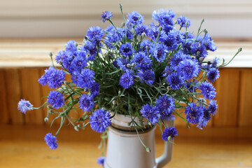 Bouquet of wild blue cornflowers in a vase by the window, blurred floral background