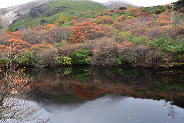 Naklejka na ściany i meble Climbing mountain in autumn, Nasu, Tochigi, Japan
