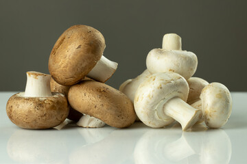 White and brown royal champignons on smooth reflective surface opposite gray background. Various types of cultivated crops of button mushrooms.