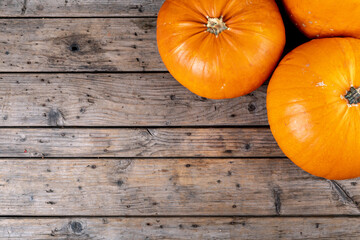 Composition of halloween decoration with pumpkins and copy space on wooden background