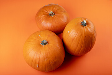 Composition of halloween decoration with pumpkins and copy space on orange background