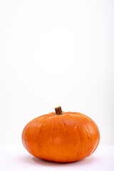 Composition of halloween decoration with pumpkin and copy space on white background