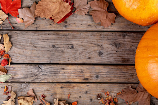 Composition of halloween decoration with pumpkins and copy space on wooden background