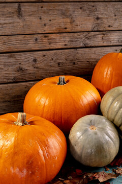Composition of halloween decoration with pumpkins on wooden background