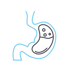 stomach line icon, outline symbol, vector illustration, concept sign