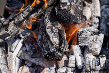 Burning logs in a campfire while cooking and warming