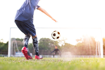 team soccer footballer get the ball to free kick or penalty kick during match in the stadium