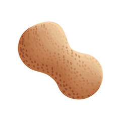 peanut isolated icon