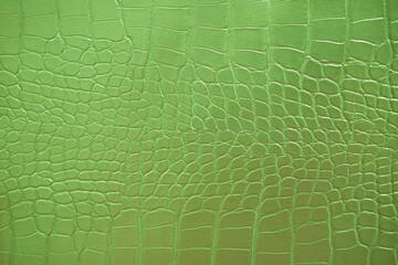 Crocodile bone skin texture background. Green Leather background and texture.