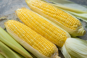 Fresh corn, sweet corn