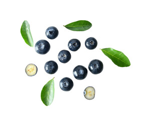 Blueberry collection isolated on ransparent png
