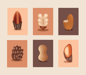 Obraz na płótnie Canvas set different nuts