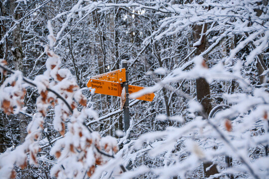 lonely sign-post for hiking trails in winter wonderland forest in Switzerland