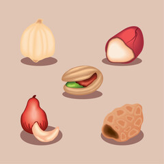 nuts icon collection