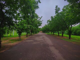 road in the park