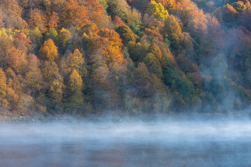 Beautiful autumn forest in the morning, fog over lake - 527974550