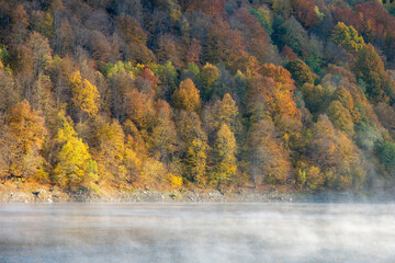 Beautiful autumn forest in the morning, fog over lake - 527974553