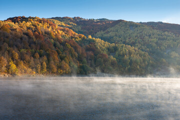 Beautiful autumn forest in the morning, fog over lake - 527974559