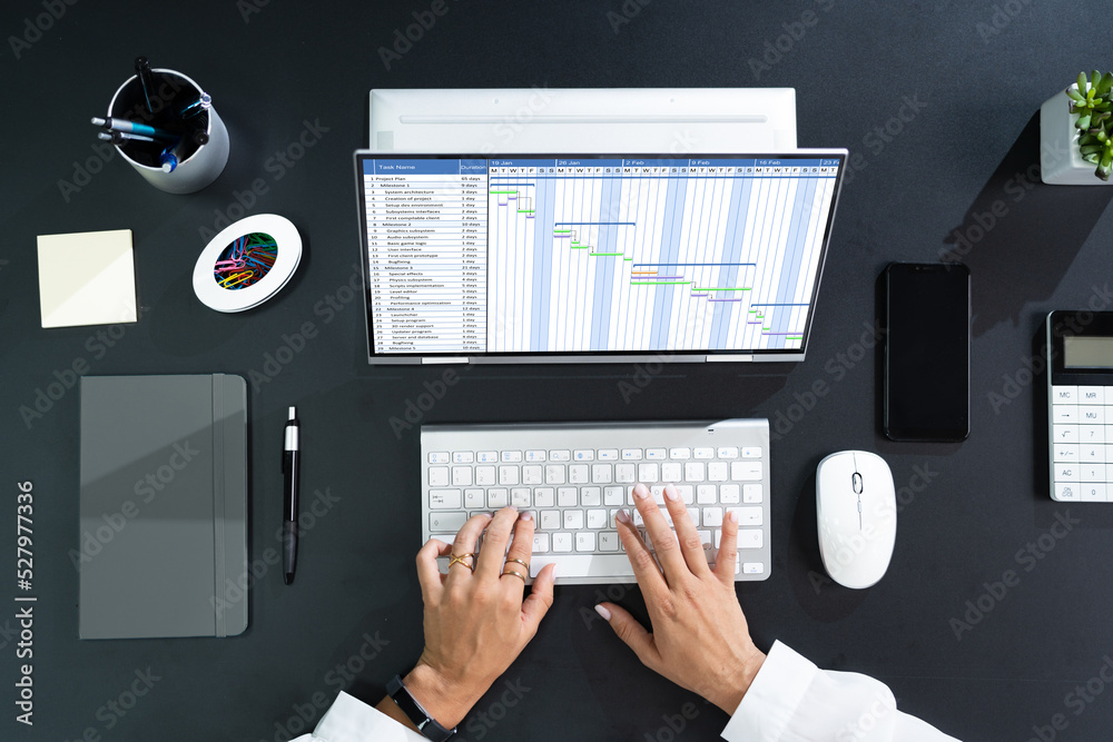 Poster Digital Gantt Project Control Software