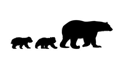 Obraz na płótnie Canvas Bear Cub Silhouette