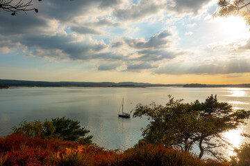 Poole Harbour Sunset Scene off Bransea Island