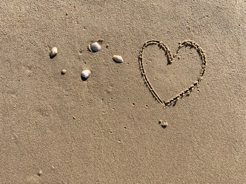 on the beach with Shells a heart symbol is carved into the smooth sand 