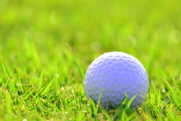 芝生上のゴルフボール