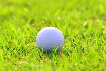 芝生上のゴルフボール