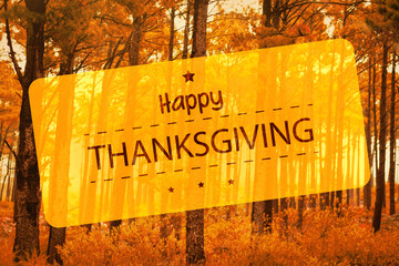 Happy Thanksgiving text against woodland