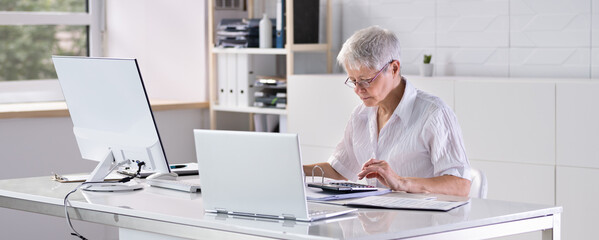 Business Accountant Using Calculator